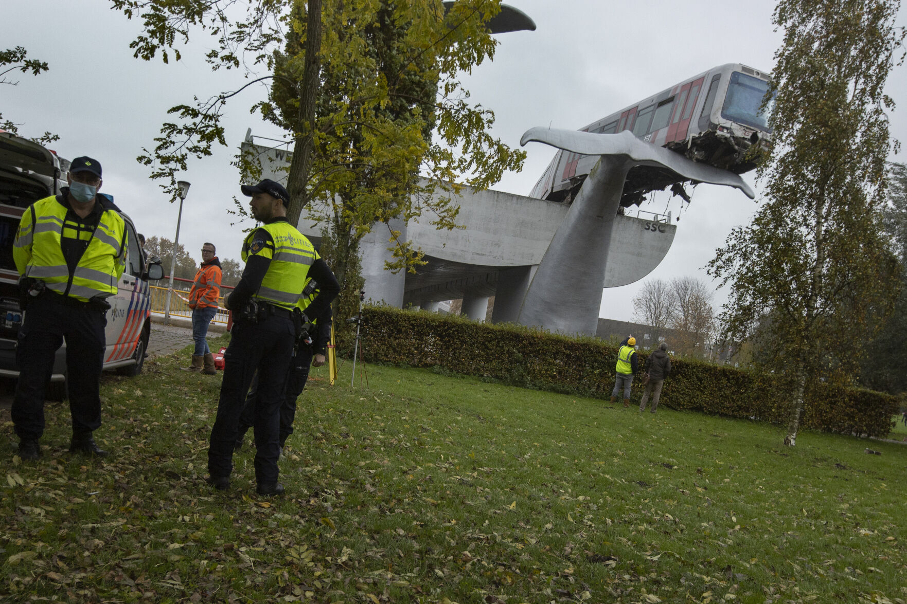 Netherlands Metro Whale